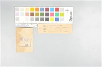 五色鳥藏品圖，第21張